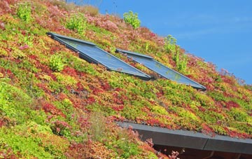 Thundersley living roof systems